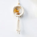 Air Plant Holder Macrame Wall Hanging Boho Decor Flower Pot Farmhouse Garden Pots Planters Bedrrom Balkon Decoration Gift